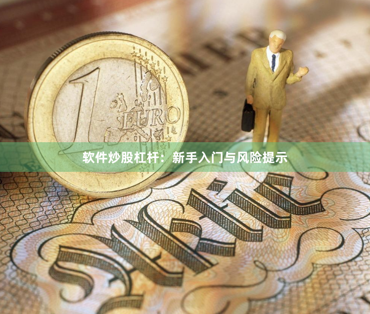 软件炒股杠杆：新手入门与风险提示
