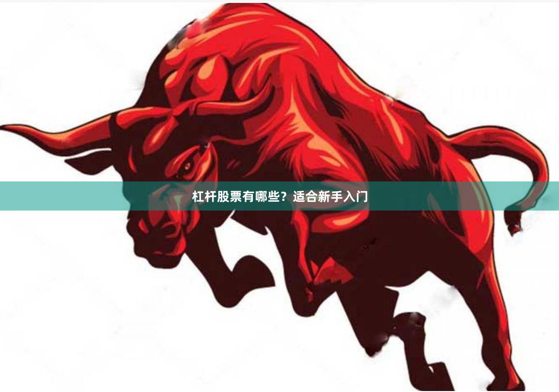 杠杆股票有哪些？适合新手入门